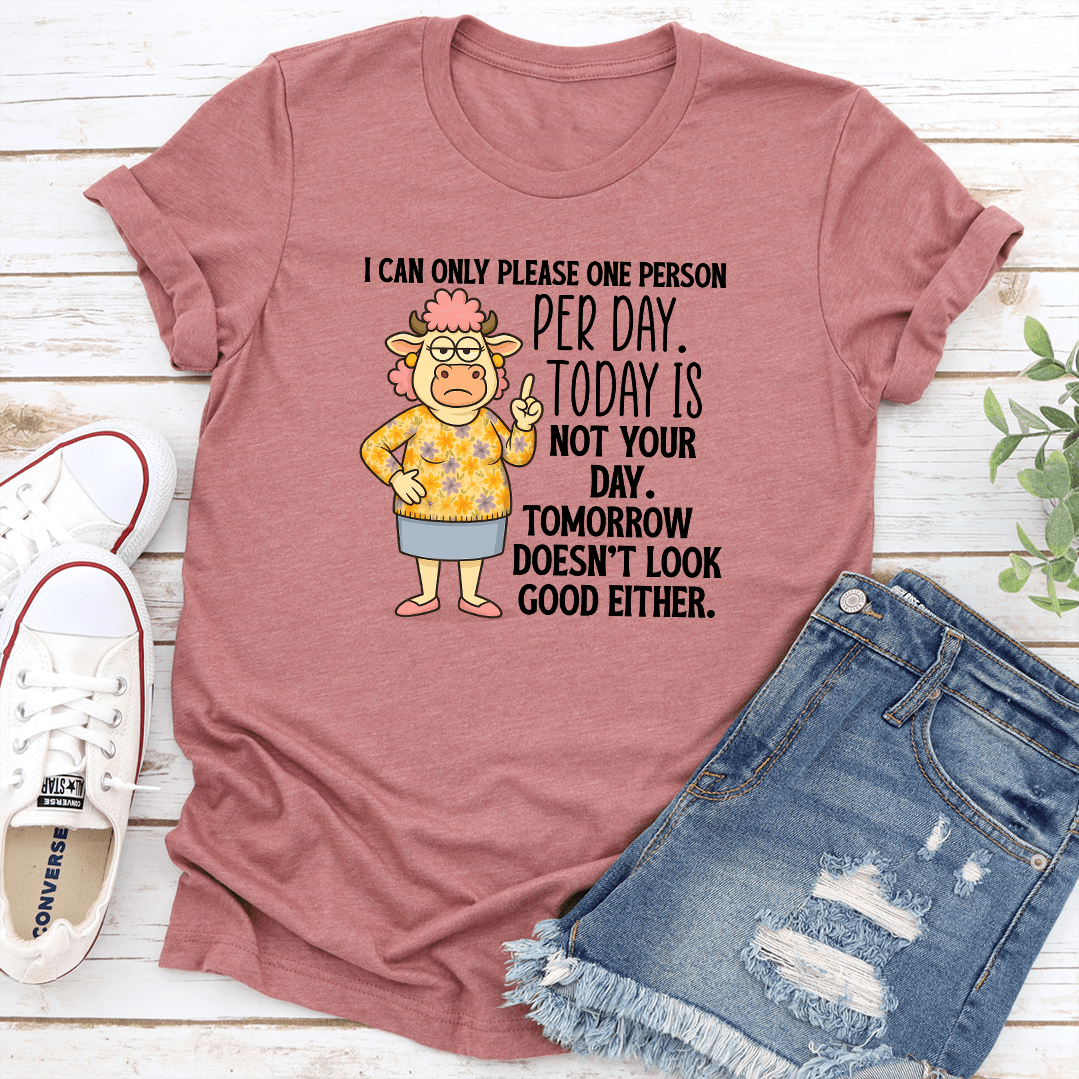 I Can Only Please One Person Per Day Tee