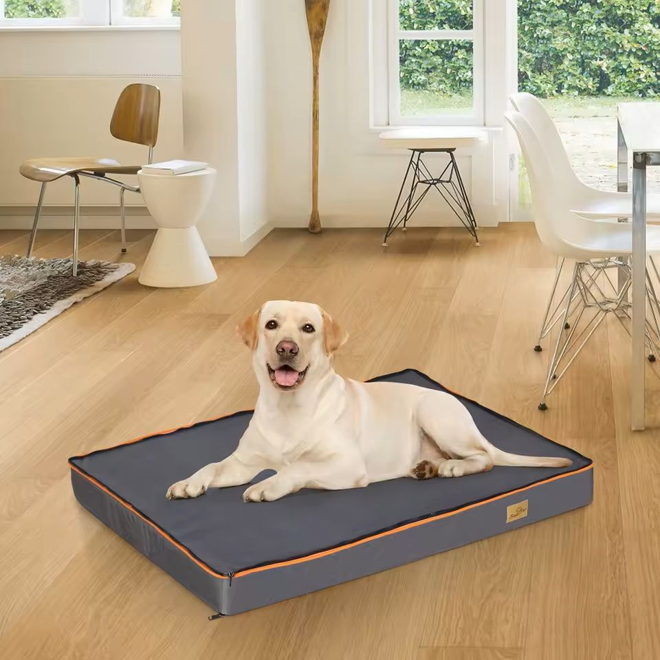 Orthopedic Dog Bed with Foam Cushion and Washable Cover