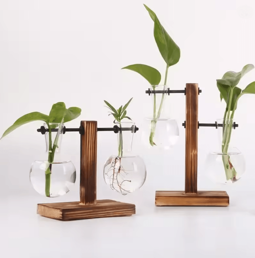 Glass Hydroponic Vase for Plants Minimalist Terrarium for Desk and Home Decor