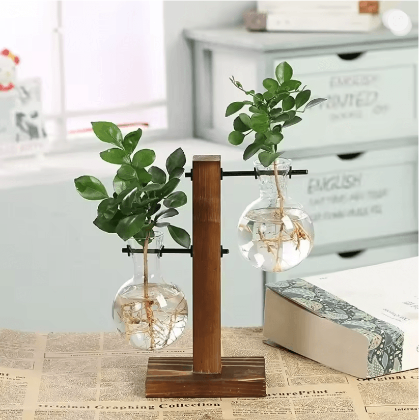 Glass Hydroponic Vase For Plants Minimalist Terrarium For Desk And Home Decor 1