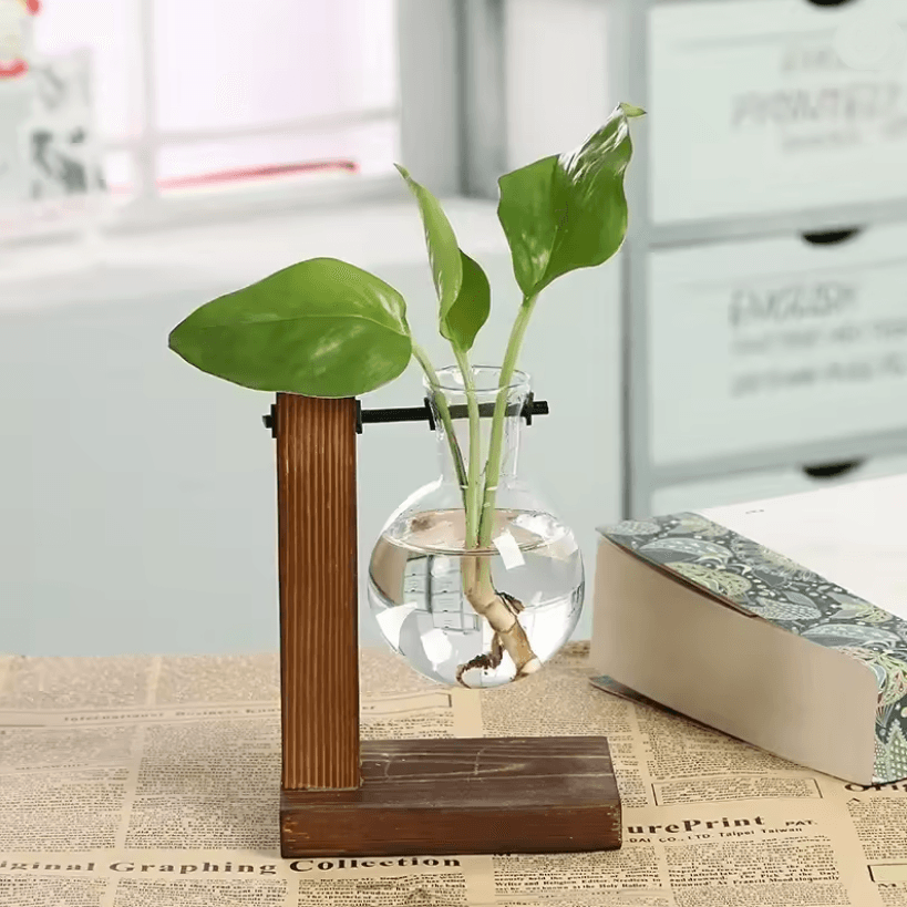 Glass Hydroponic Vase For Plants Minimalist Terrarium For Desk And Home Decor 2