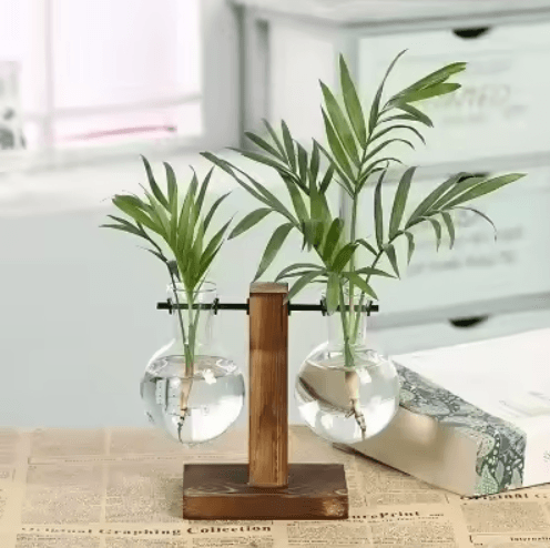 Glass Hydroponic Vase For Plants Minimalist Terrarium For Desk And Home Decor 4