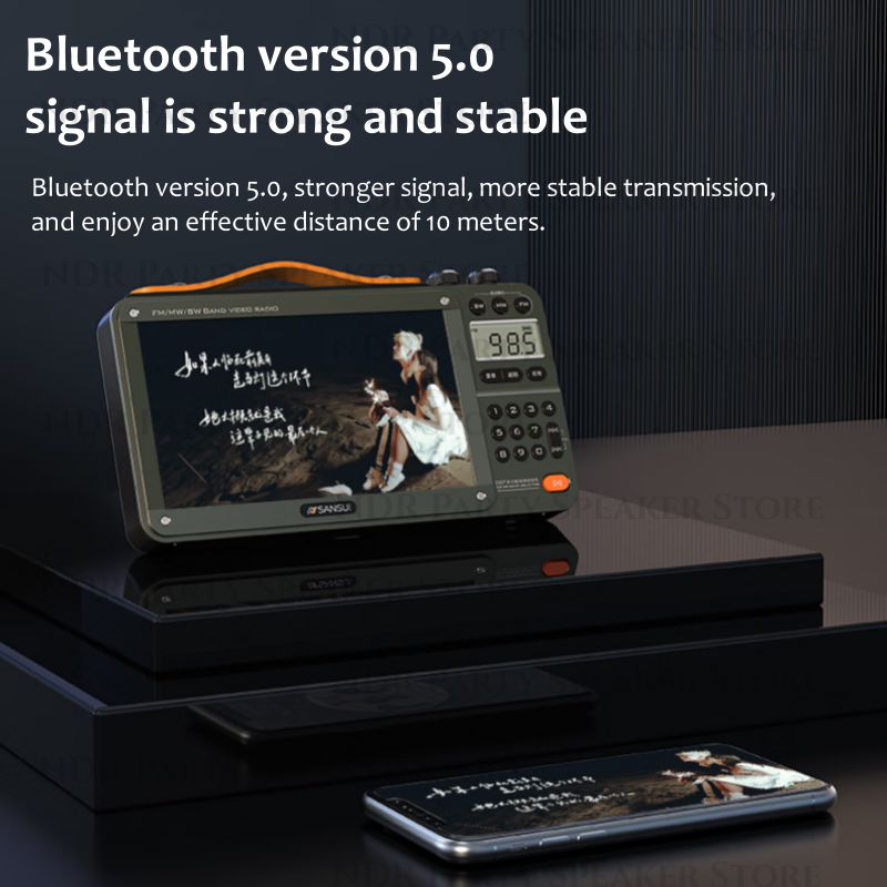 Portable FM Radio with Video Display, Wireless Bluetooth Speaker, MP4 Music Player, Dual TF Card Slot, E-book Playback