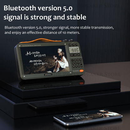 Portable FM Radio with Video Display, Wireless Bluetooth Speaker, MP4 Music Player, Dual TF Card Slot, E-book Playback