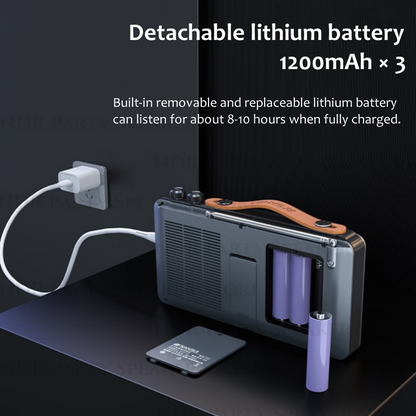 Portable FM Radio with Video Display, Wireless Bluetooth Speaker, MP4 Music Player, Dual TF Card Slot, E-book Playback