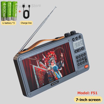Portable FM Radio with Video Display, Wireless Bluetooth Speaker, MP4 Music Player, Dual TF Card Slot, E-book Playback
