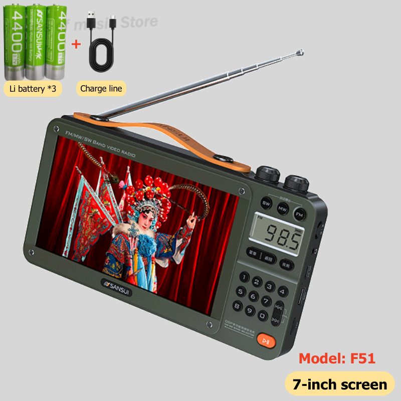 Portable FM Radio with Video Display, Wireless Bluetooth Speaker, MP4 Music Player, Dual TF Card Slot, E-book Playback