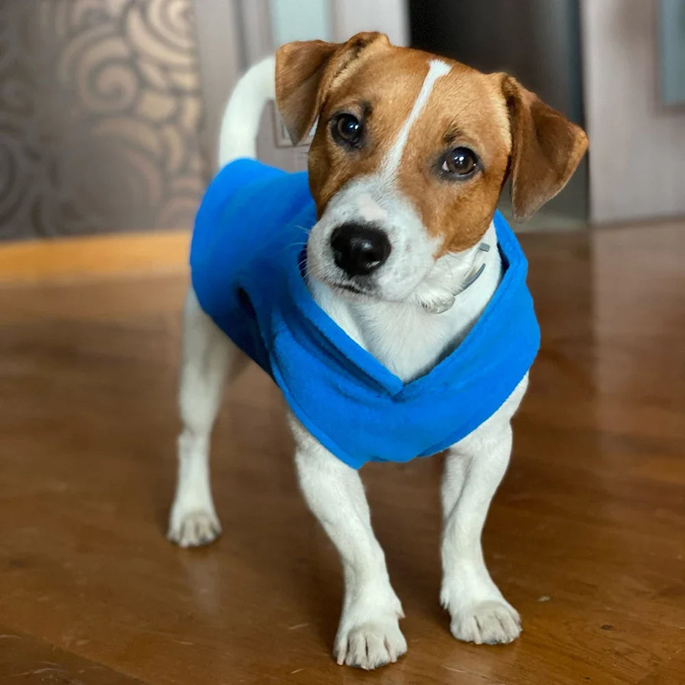 Warm Fleece Pet Clothes For Small Dogs Winter TShirt Vest For Chihuahua Yorkshire Terrier Poodle Fr 1