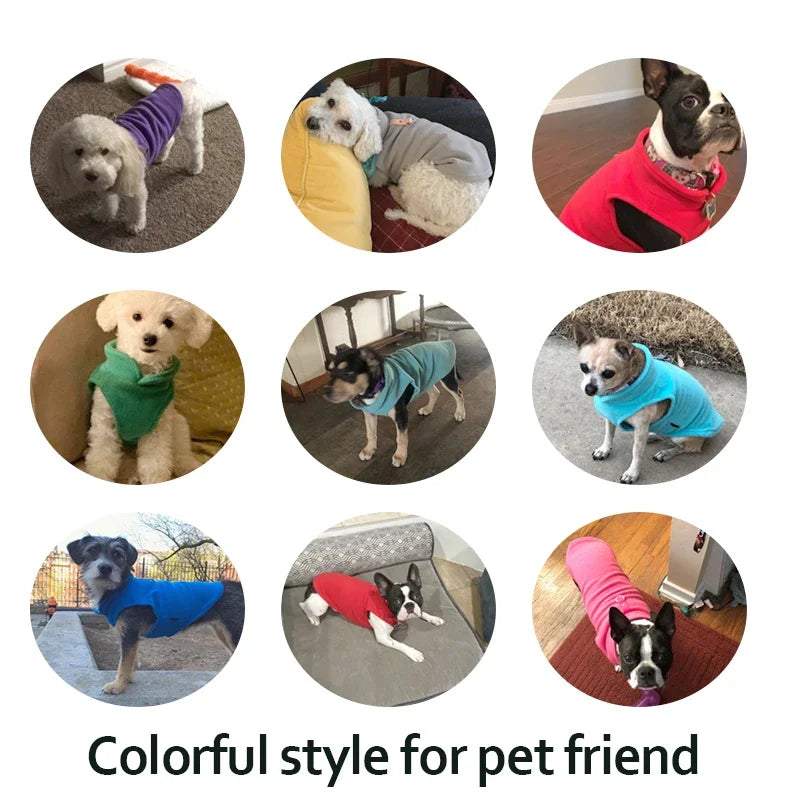 Warm Fleece Pet Clothes For Small Dogs Winter TShirt Vest For Chihuahua Yorkshire Terrier Poodle Fr 3