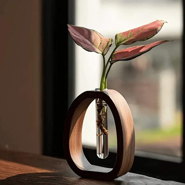 Walnut Wood Hydroponic Glass Vase For Minimalist Plant Decor 3
