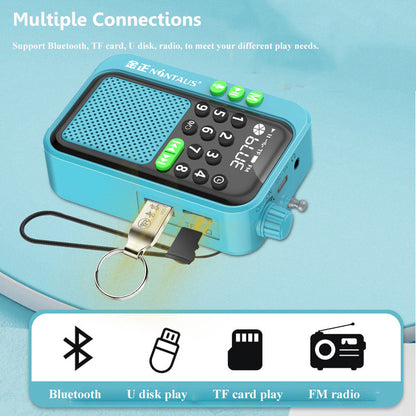 Wireless Mini Pocket FM Radio Digital Receiver with Bluetooth Speaker, LED Display, High Sensitivity, Sleep Timer