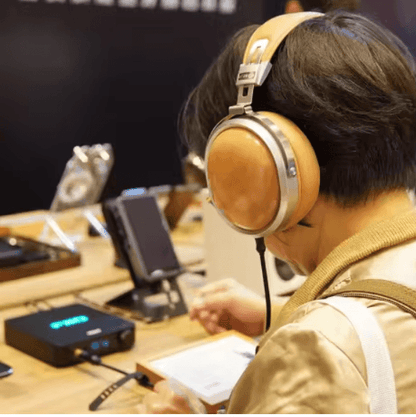 FiiO FT1 Wired HiFi Headphones with Closed Back Design and Dynamic Drivers