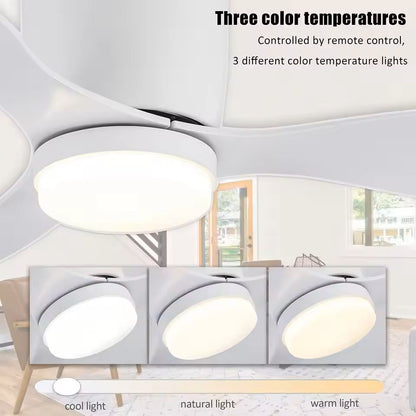 IRALAN Ceiling Fan With Light Reversible DC Motor 6 Speed Dimmable 3