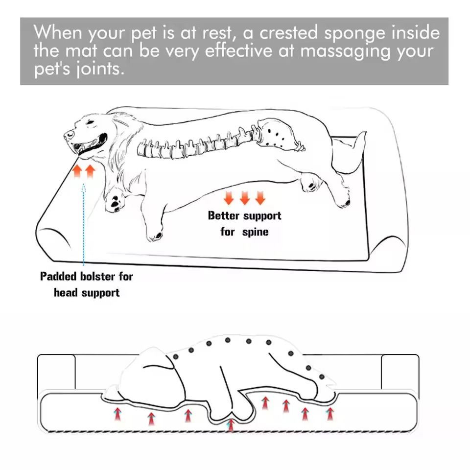 Orthopedic Dog Bed With Washable Cover And Memory Foam Cushion 3