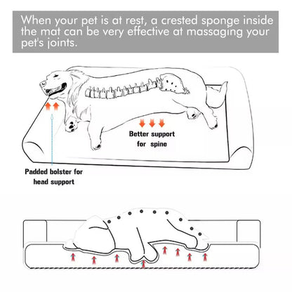Orthopedic Dog Bed With Washable Cover And Memory Foam Cushion 3