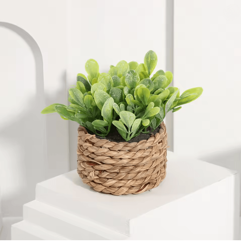 XiyaFlower Mini Potted Artificial Eucalyptus Grass Mound 3