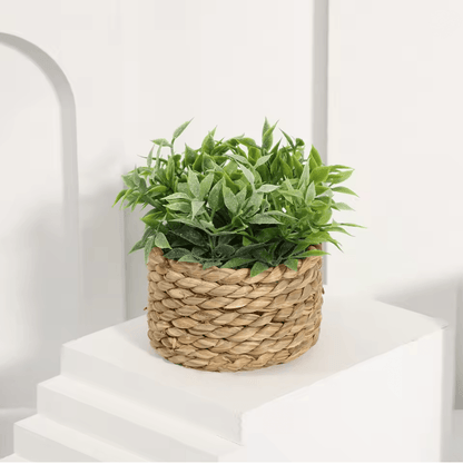 XiyaFlower Mini Potted Artificial Eucalyptus Grass Mound 4
