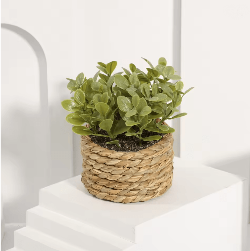 XiyaFlower Mini Potted Artificial Eucalyptus Grass Mound 5