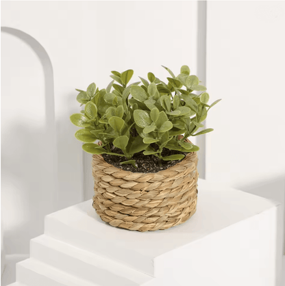 XiyaFlower Mini Potted Artificial Eucalyptus Grass Mound 5
