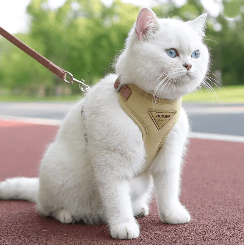 PawComfort Breathable Mesh Pet Harness and Leash Set