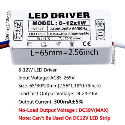 AC LED Driver 300mA Constant Current Power Supply with Shell Connector for LED Lights, Lamps, and Strips