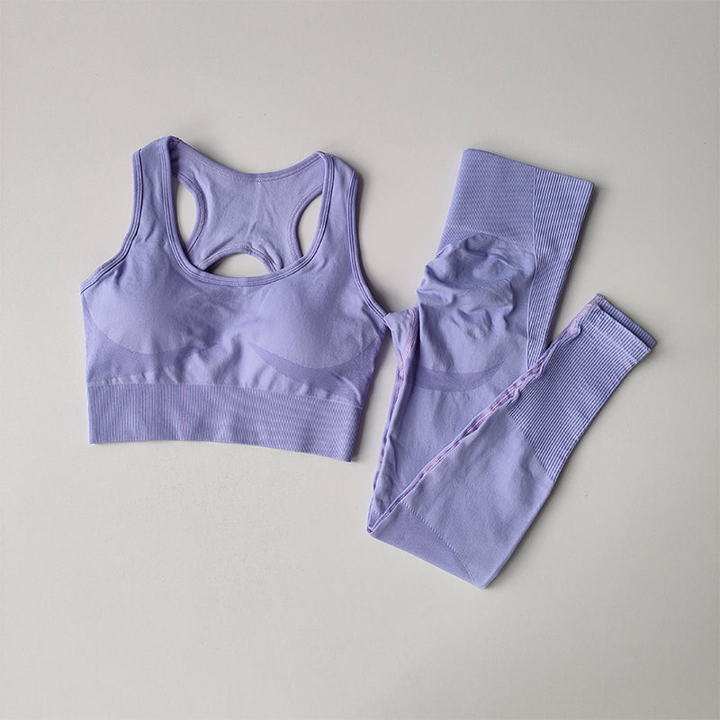 Women Sports Bra and Leggings Set, Shockproof Fitness Tank Top Yoga Suit, Beautiful Back Support Bra for Running