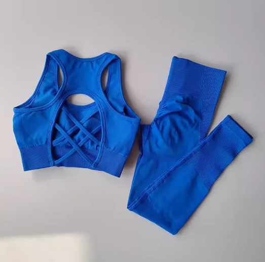 Women Sports Bra and Leggings Set, Shockproof Fitness Tank Top Yoga Suit, Beautiful Back Support Bra for Running