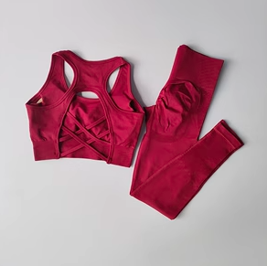 Women Sports Bra and Leggings Set, Shockproof Fitness Tank Top Yoga Suit, Beautiful Back Support Bra for Running