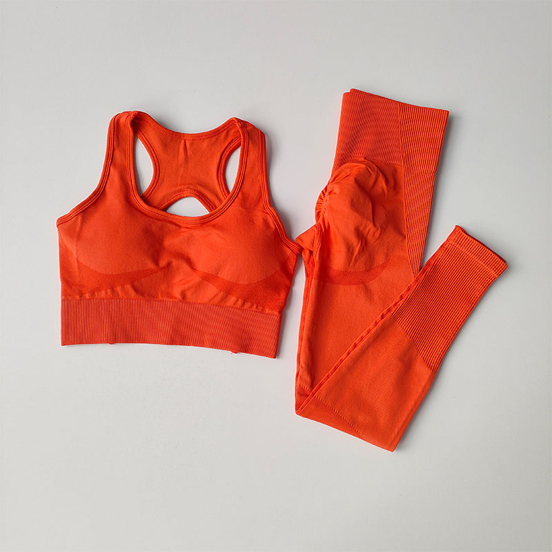 Women Sports Bra and Leggings Set, Shockproof Fitness Tank Top Yoga Suit, Beautiful Back Support Bra for Running