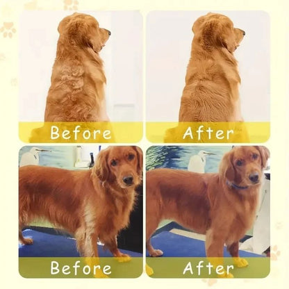 3 In 1 Electric Pet Grooming Brush With Steam Spray And Massage Function For Dogs And Cats 2