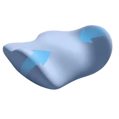 DreamCurve Lumbar Support Cushion 2