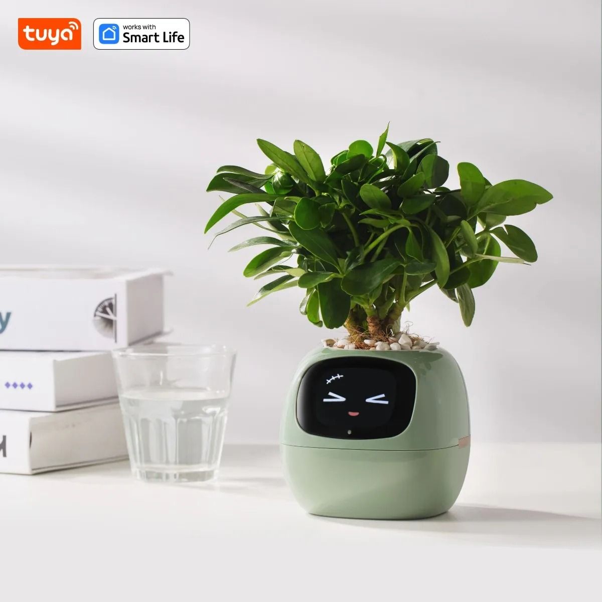 Smart Planter With AI Expressions And Sensors For Easy Plant Care 8