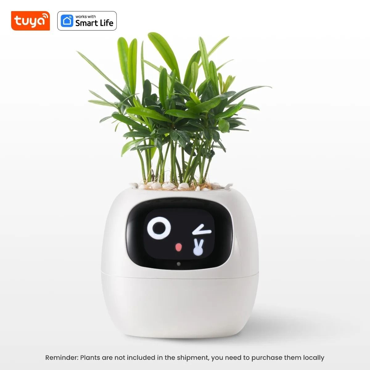 Smart Planter With AI Expressions And Sensors For Easy Plant Care 9