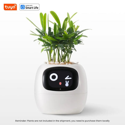 Smart Planter With AI Expressions And Sensors For Easy Plant Care 9