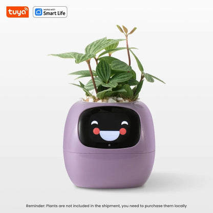 Smart Planter With AI Expressions And Sensors For Easy Plant Care 10
