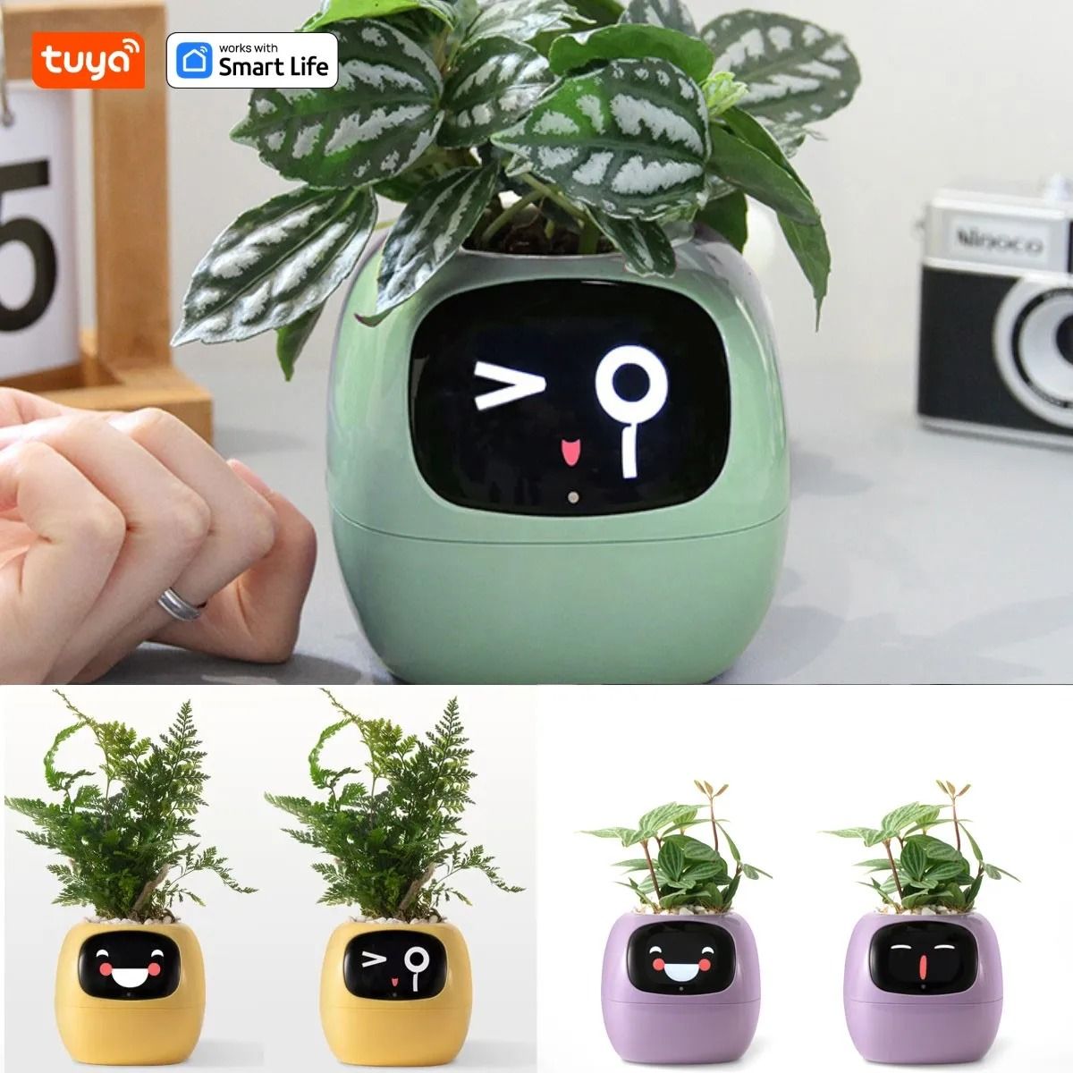 Smart Planter with AI Expressions and Sensors for Easy Plant Care