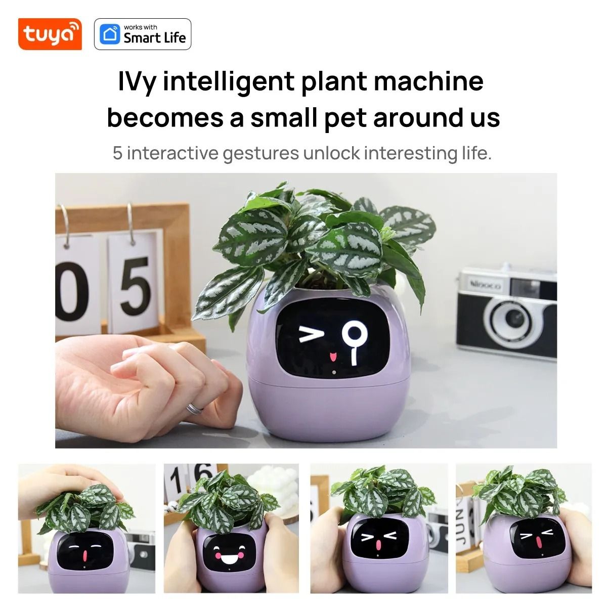 Smart Planter With AI Expressions And Sensors For Easy Plant Care 1
