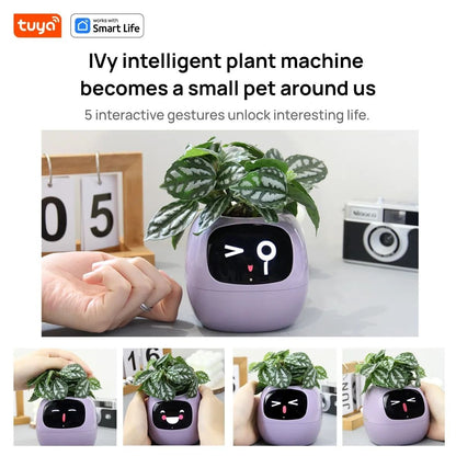 Smart Planter With AI Expressions And Sensors For Easy Plant Care 1