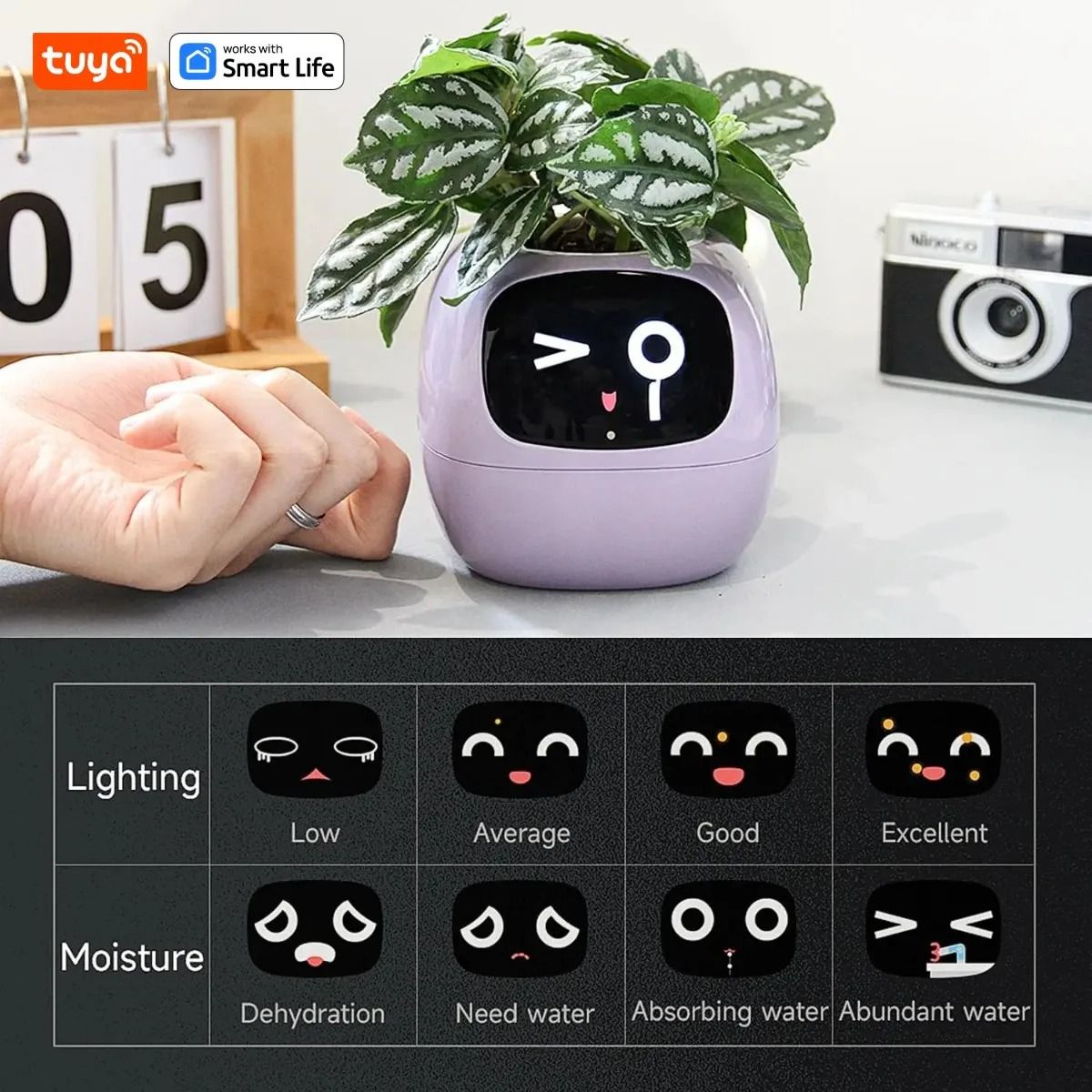 Smart Planter With AI Expressions And Sensors For Easy Plant Care 3