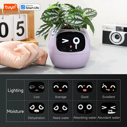 Smart Planter With AI Expressions And Sensors For Easy Plant Care 3