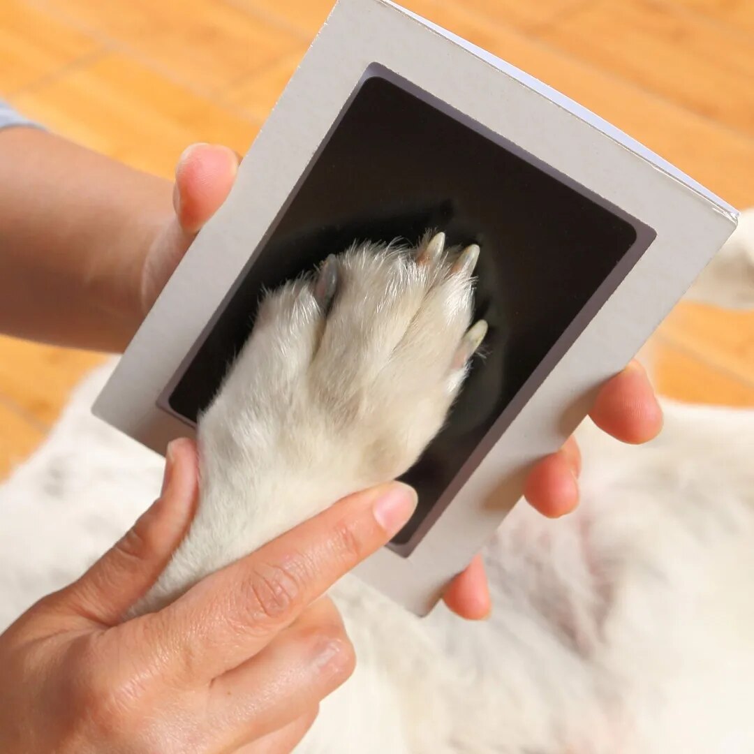 Paw Print Clean Touch Ink Pad Safe Inkless DIY Nose & Pawprint Impression Kit for Dogs & Cats Perfect Pet Owner Keepsake