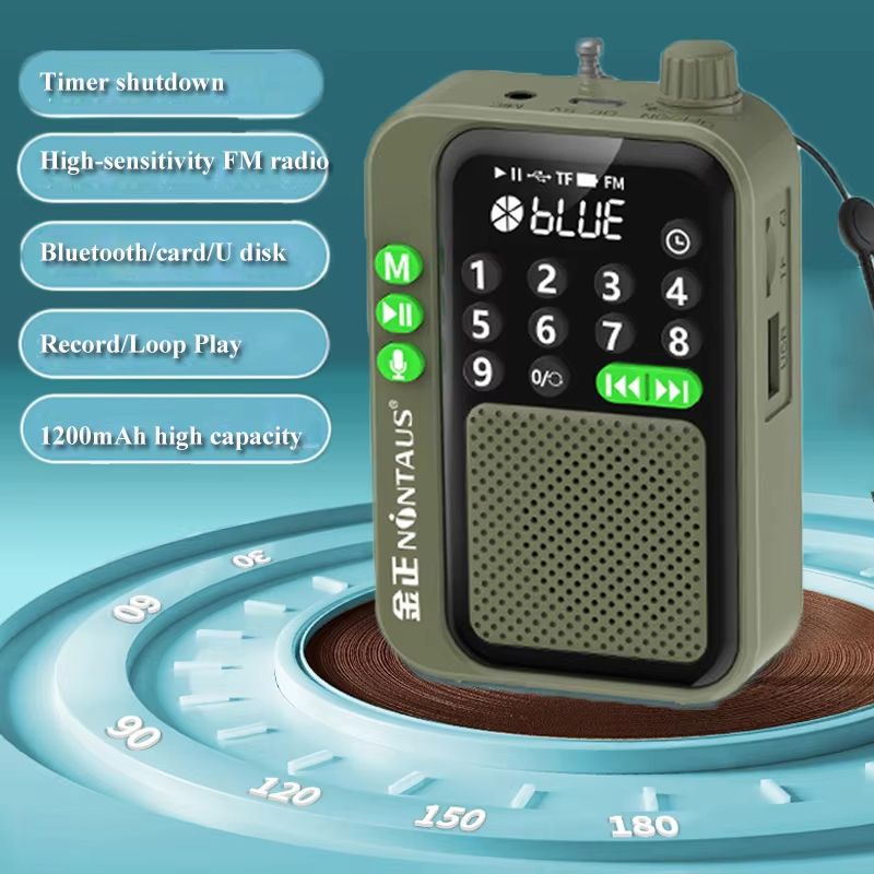 PocketWave Bluetooth FM Radio with LED Display & Sleep Timer