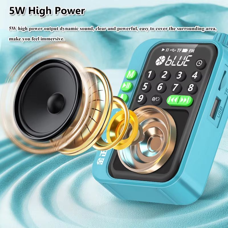 PocketWave Bluetooth FM Radio With LED Display  Sleep Timer 1