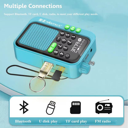 PocketWave Bluetooth FM Radio With LED Display  Sleep Timer 4
