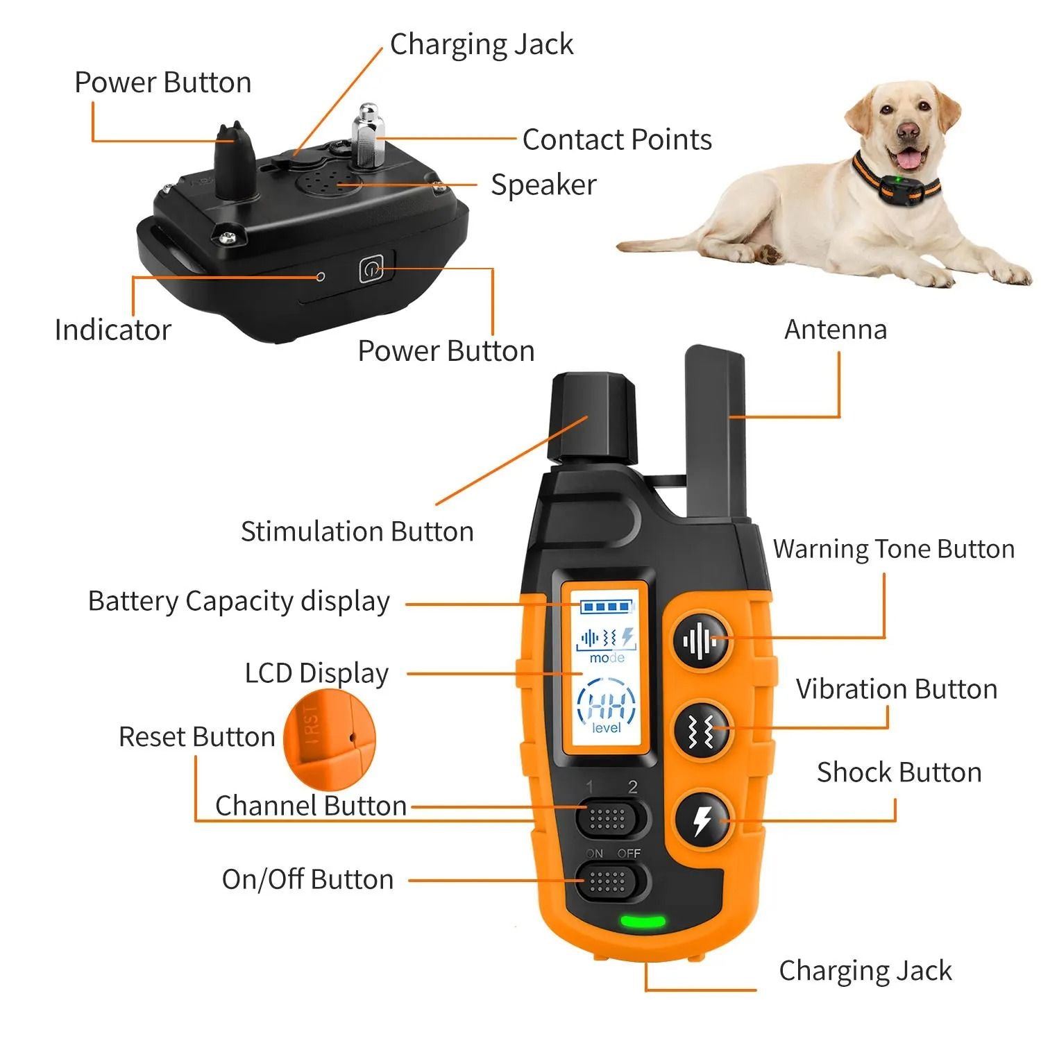 Remote Control Waterproof Dog Training Collar With Shock Vibration And Tone For Small Medium Large  5