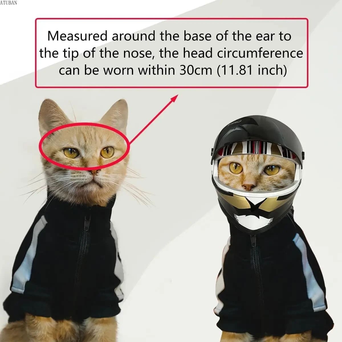Mini Pet Helmet For Cats And Dogs Safety Photo Prop 3