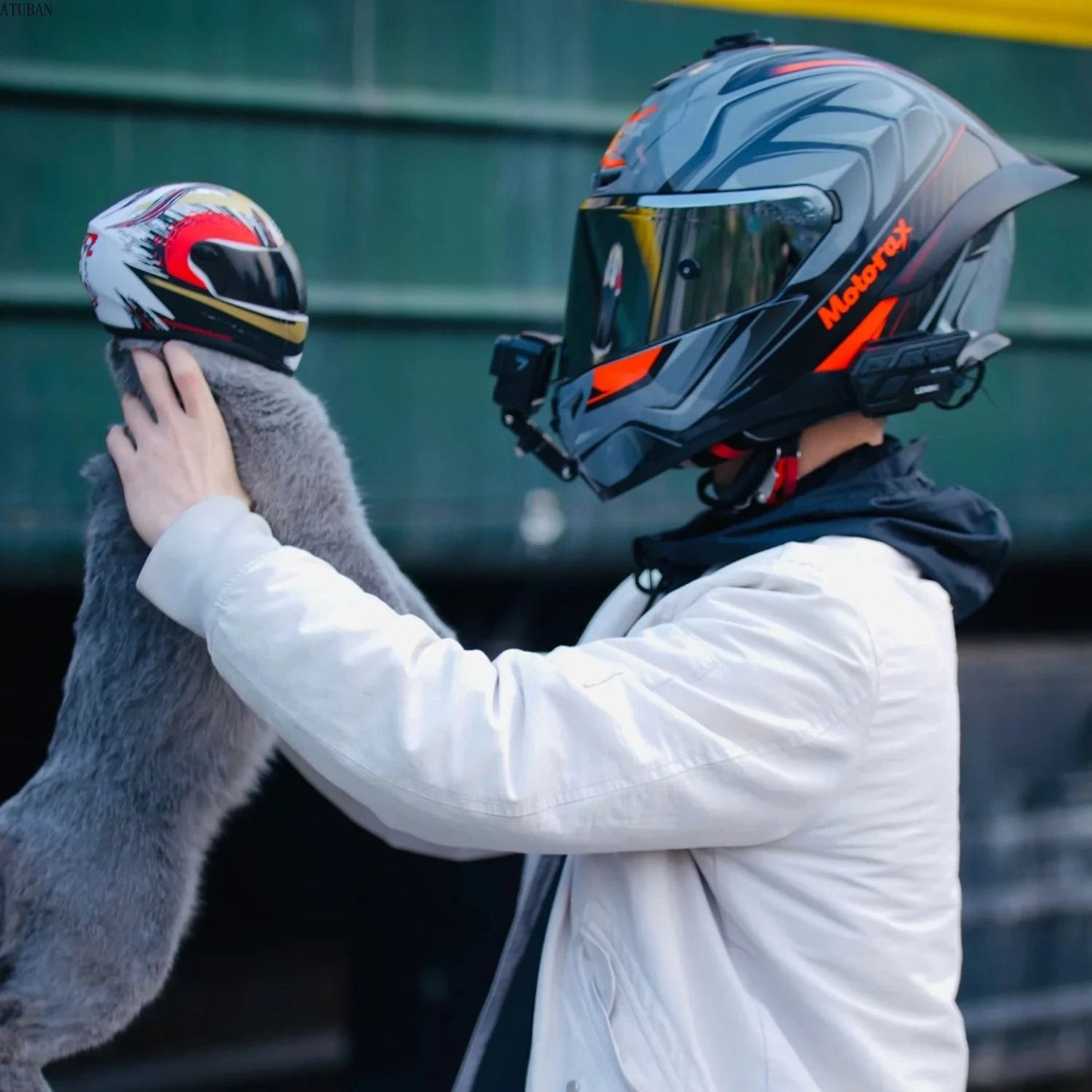 Mini Pet Helmet For Cats And Dogs Safety Photo Prop 4