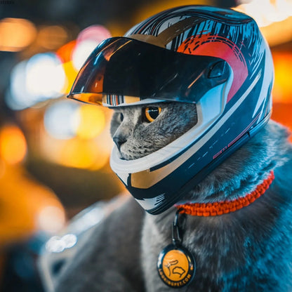 Mini Pet Helmet For Cats And Dogs Safety Photo Prop 5