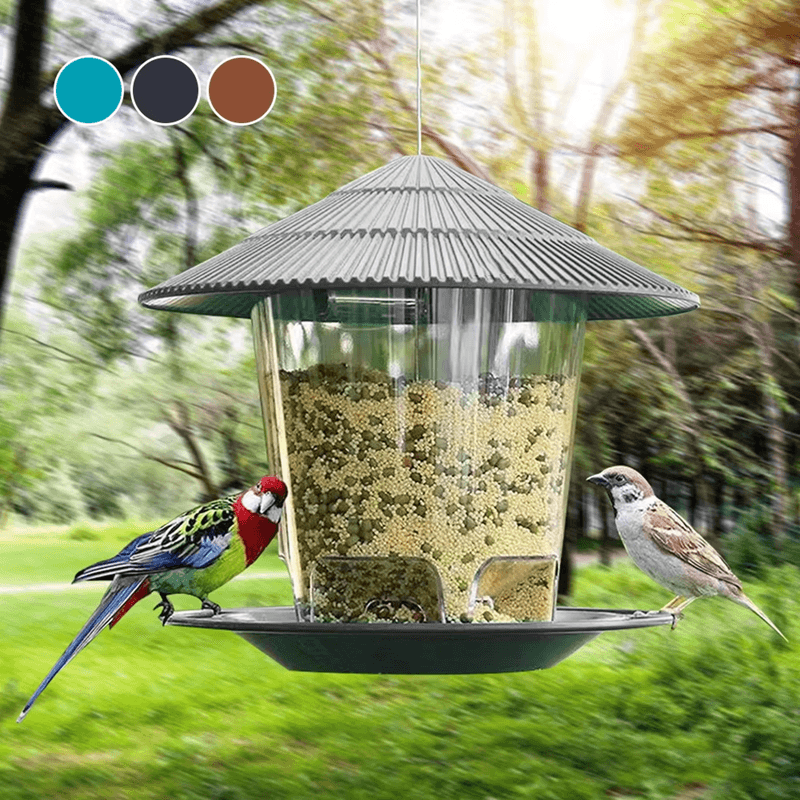 Automatic Hanging Bird Feeder with MultiHole Dispenser