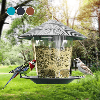 Automatic Hanging Bird Feeder with MultiHole Dispenser